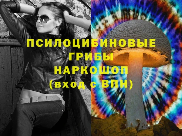 МДПВ Наволоки