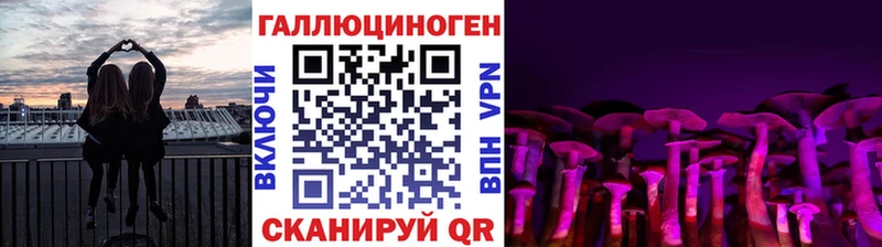 Псилоцибиновые грибы Magic Shrooms  закладка  Хабаровск 